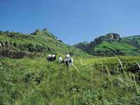 Horse_Riding_in_the_Drakensberg.jpg